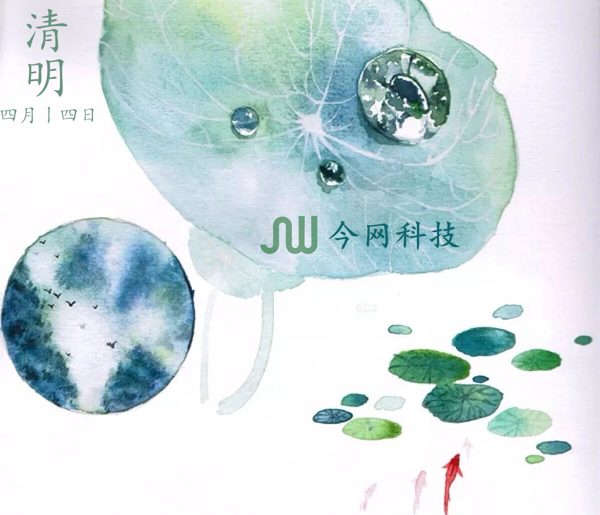 官網(wǎng)專(zhuān)用.jpg
